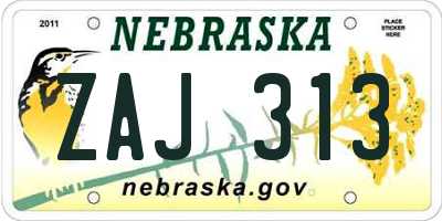 NE license plate ZAJ313