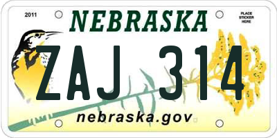 NE license plate ZAJ314