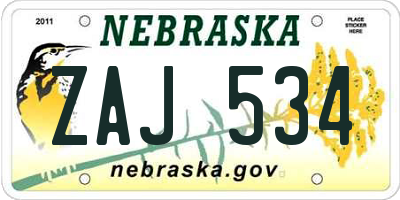 NE license plate ZAJ534