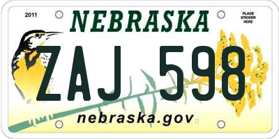 NE license plate ZAJ598