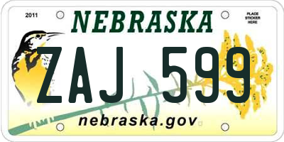 NE license plate ZAJ599