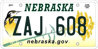 NE license plate ZAJ608