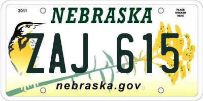 NE license plate ZAJ615