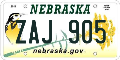 NE license plate ZAJ905