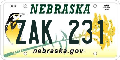 NE license plate ZAK231