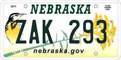 NE license plate ZAK293