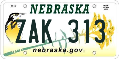 NE license plate ZAK313