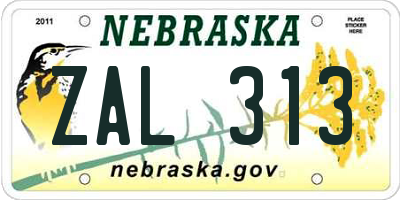 NE license plate ZAL313