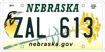 NE license plate ZAL613