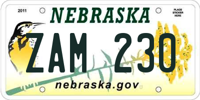 NE license plate ZAM230