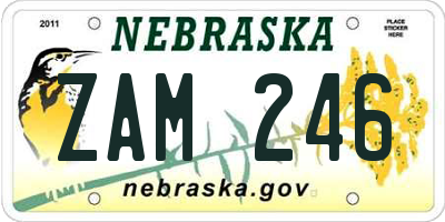 NE license plate ZAM246