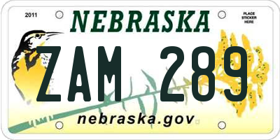 NE license plate ZAM289