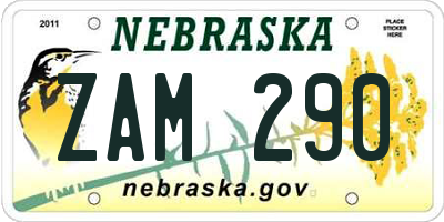 NE license plate ZAM290