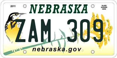 NE license plate ZAM309