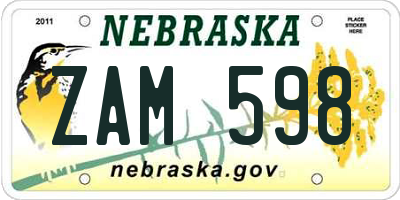 NE license plate ZAM598