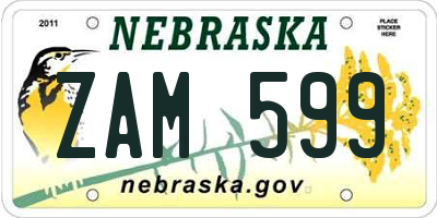 NE license plate ZAM599