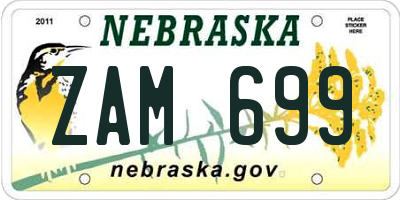 NE license plate ZAM699