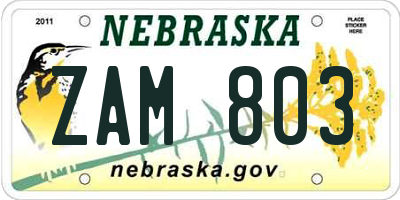 NE license plate ZAM803