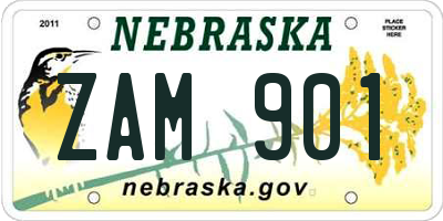 NE license plate ZAM901