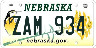 NE license plate ZAM934