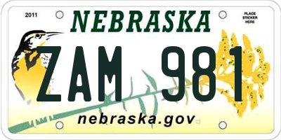 NE license plate ZAM981