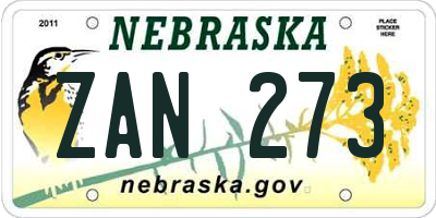 NE license plate ZAN273