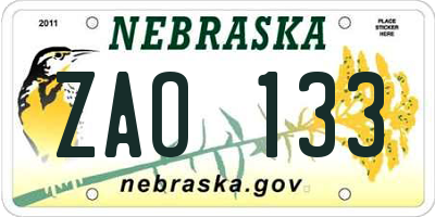 NE license plate ZAO133