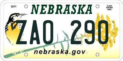 NE license plate ZAO290