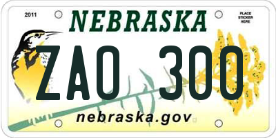 NE license plate ZAO300