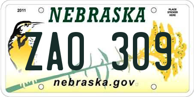 NE license plate ZAO309