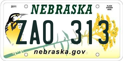 NE license plate ZAO313