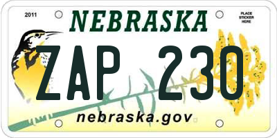 NE license plate ZAP230