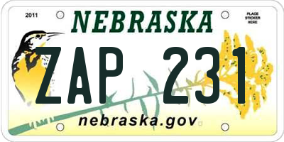 NE license plate ZAP231
