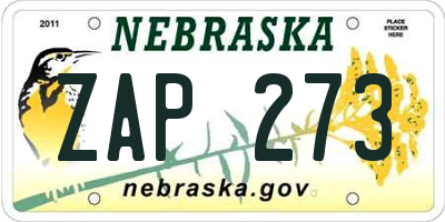 NE license plate ZAP273