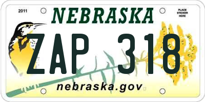 NE license plate ZAP318