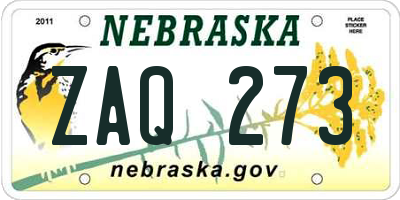 NE license plate ZAQ273