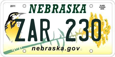 NE license plate ZAR230