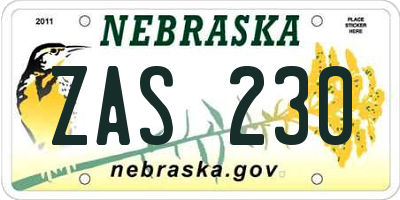 NE license plate ZAS230
