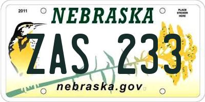 NE license plate ZAS233