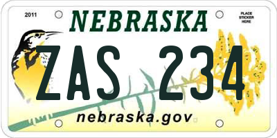 NE license plate ZAS234