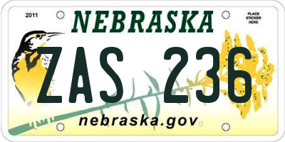 NE license plate ZAS236