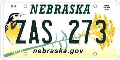 NE license plate ZAS273