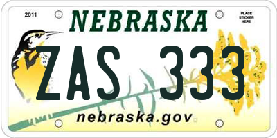 NE license plate ZAS333