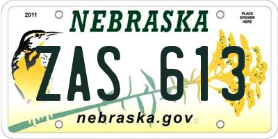 NE license plate ZAS613