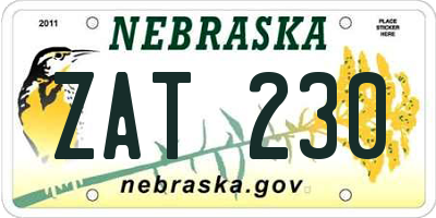 NE license plate ZAT230