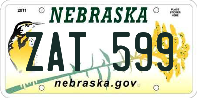 NE license plate ZAT599