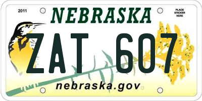 NE license plate ZAT607