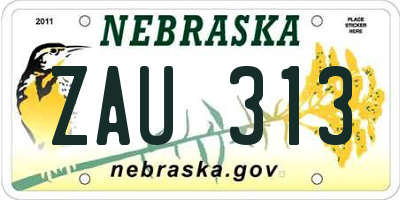 NE license plate ZAU313