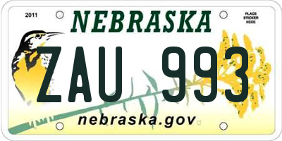 NE license plate ZAU993