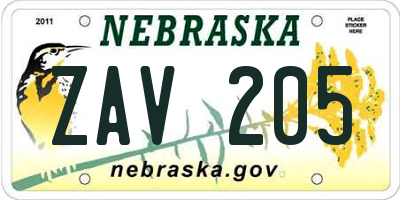 NE license plate ZAV205